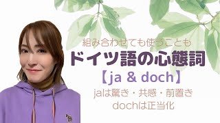ドイツ語の副詞・心態詞研究 = Abhandlungen über deuts… mqdefault.jpg