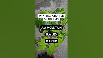 What has a bottom at the top?#brainteaser #riddlepuzzle