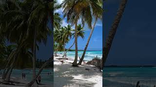 🏖 Escape to Paradise at Saona Island Beach, Dominican Republic! 🇩🇴 #shorts #travel #beach