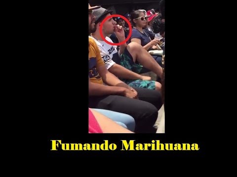 Aficionado de Pumas Fumando Marihuana en C.U camera iphone 8 plus apk