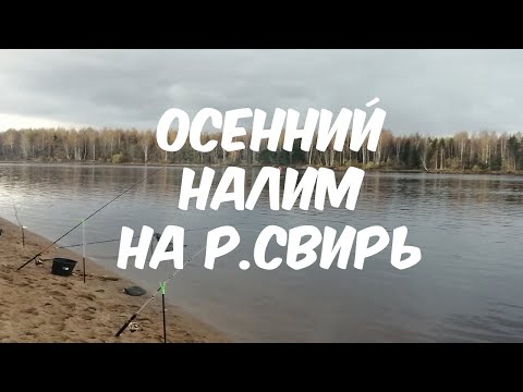 Ловля налима на р.Свирь