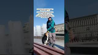 ✅️ 7й урок из 9ти, команда &quot;рядом&quot;