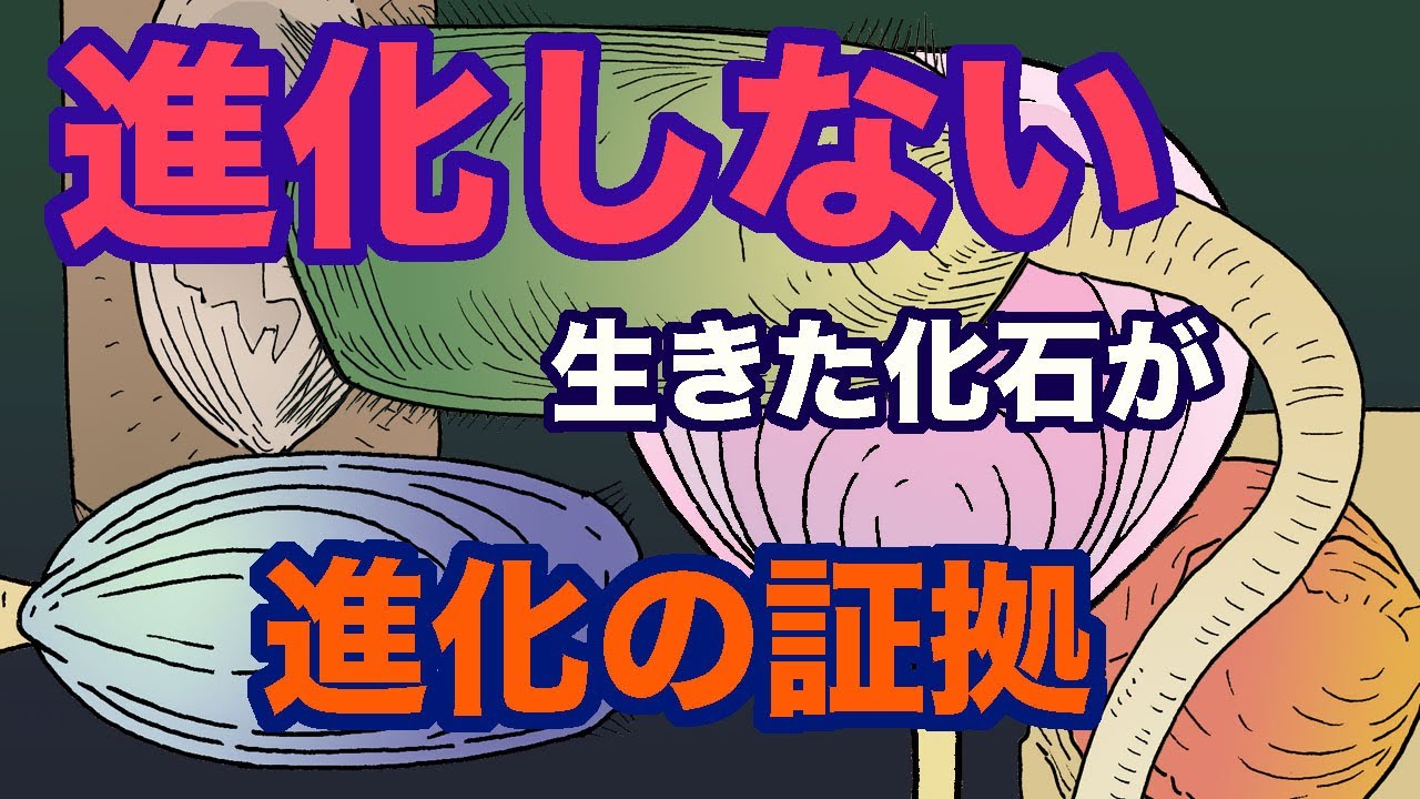 生と死の自然史 : 進化を統べる酸素 生と死の自然史: 進化を統べる酸素 | ニック レーン, Lane,Nick
