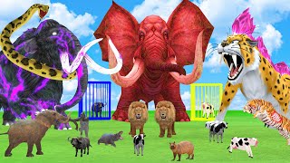 10 Giant Mammoth Elephant Cow vs 5 Giant Lion Tiger vs Snake  Buffalo Saved By Woolly Mammoth