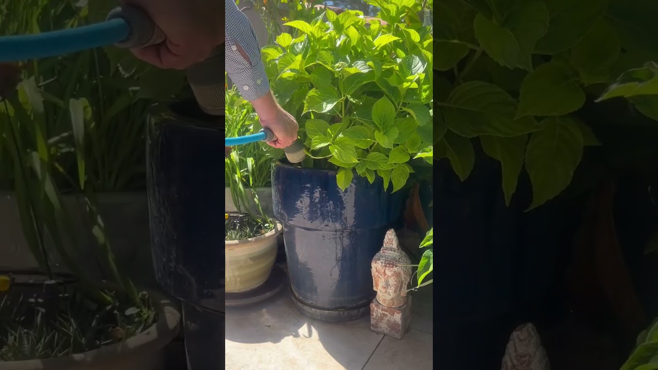 Dalles sur plots terrasse