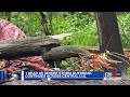Tornadoes pummel communities outside Chicago, tearing up homes and toppling power poles
