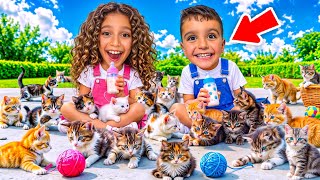 Mahalledeki̇ Bütün Yavru Kedi̇leri̇ Besledi̇kpoyraz Eli̇f