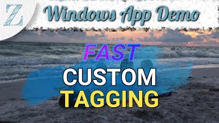 Zloviewer App Demo Fast Custom Tagging