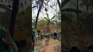 ಮೊದಲ ಮಳೆಯ ಗಿಡದ ನೆಡೋ first rain is Gift for all and farmers 🙌🙌🙏🙏🙏