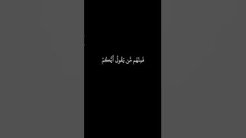 #كرومات_قرآن يا أيها الذين آمنوا قاتلوا الذين يلونكم من الكفار سورة التوبة بصوت الشيخ فارس عباد