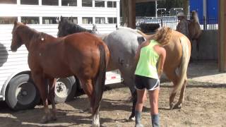 Pick-Up Men Gary Rempel & Matt Twitchell - Wilco Sponsored at the Kitsap Stampede