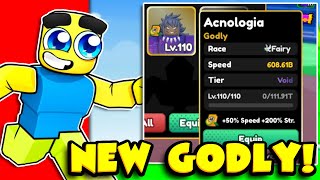 I Got *OP* VOID GODLY!!! In Anime Racing 2!