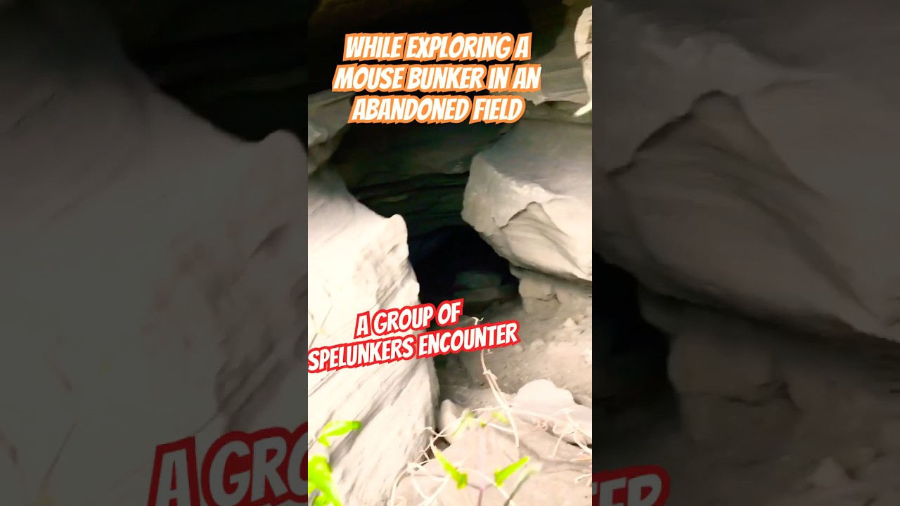 Guarda Cave people #spelunking #cave #tunnel #explore #underground #minecraft #holes #earth #rock su YouTube Guarda Cave people #spelunking #cave #tunnel #explore #underground #minecraft #holes #earth #rock su YouTube