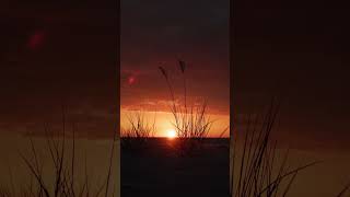 Sunset at Baltic Sea - short nature meditation 6
