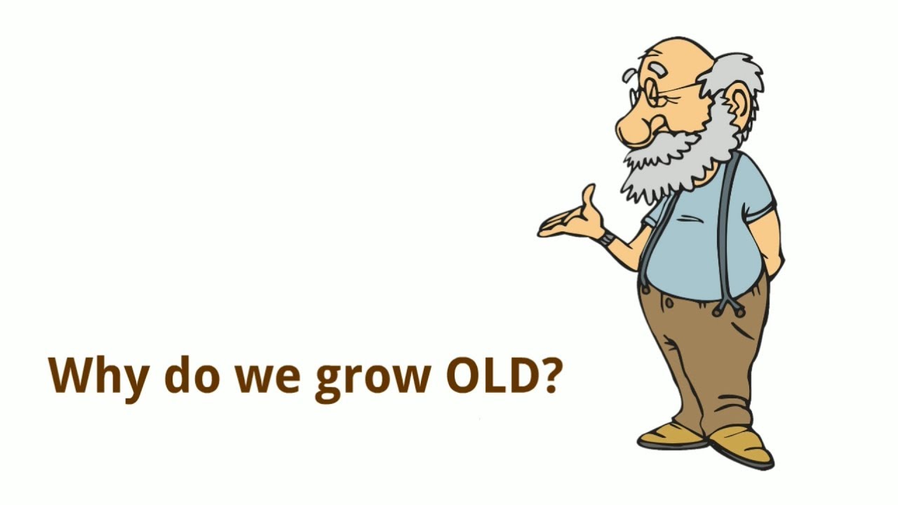 We don't stop. Grow +studio обман. Grow old. картина пара пожилая живопись. Fight roblox image.