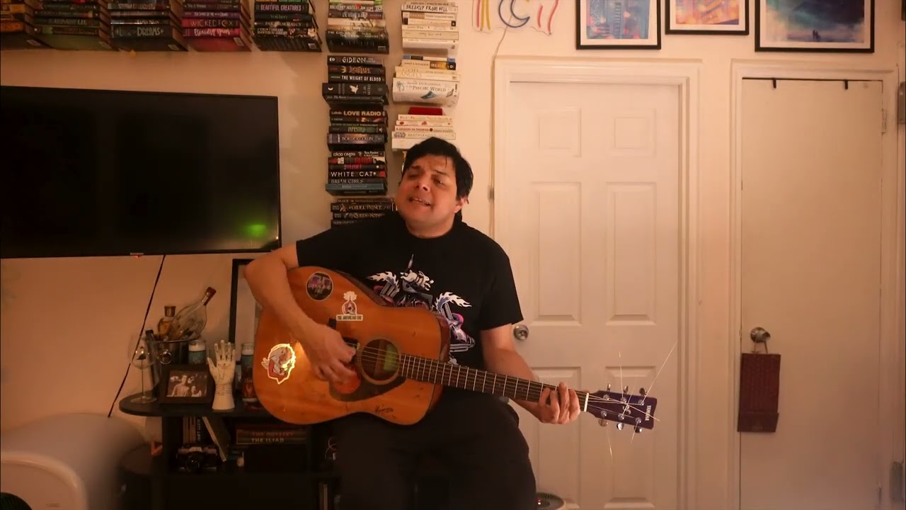 blink-182 - anthem part two (acoustic cover)