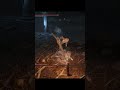 Фрирен встретила двойника в Elden Ring #shorts #eldenring #gaming