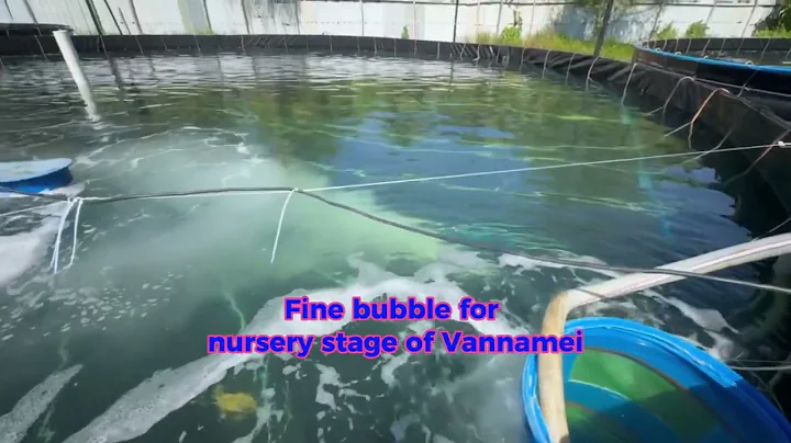 Oxygen Nanobubble for nursery stage of shrimp post larvae to 1 gram size