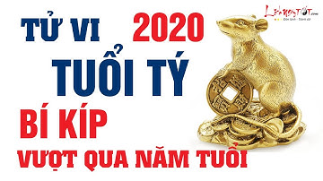 Tử Vi Tuổi Tý Năm 2020 Bí Kíp Vượt Qua Năm Tuổi Suôn Sẻ Thành Công Xem Là Biết - Tử Vi 12 Con Giáp