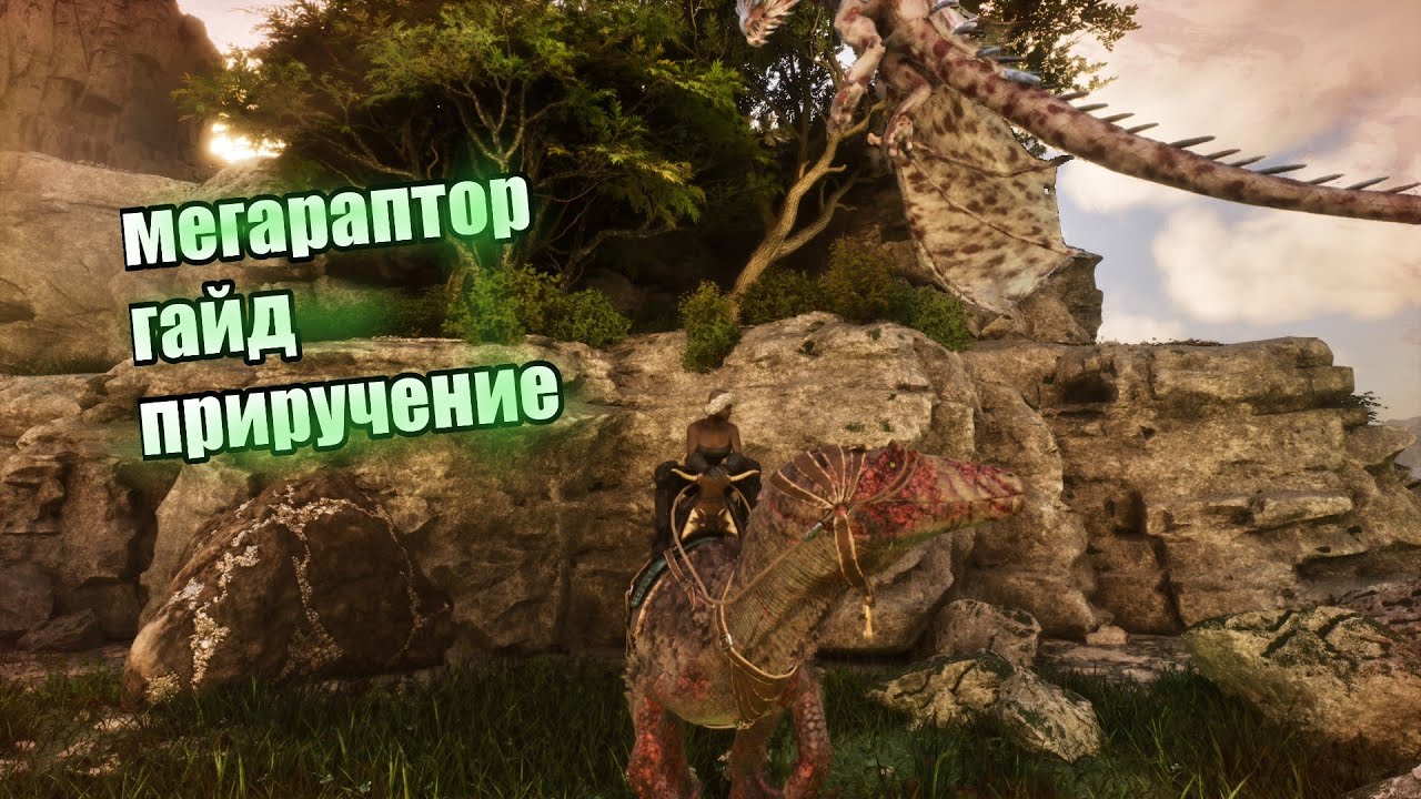 ARK SURVIVAL ASCENDED мегараптор гайд на приручение ⭐#арк #survival #ascended #гайды #приручение  