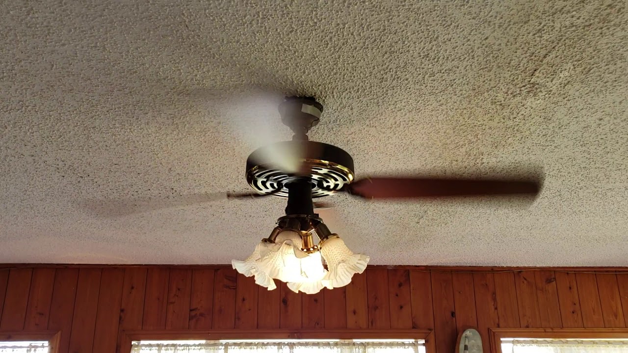 3 52 Evergo Banana Fan Ceiling Fans Youtube