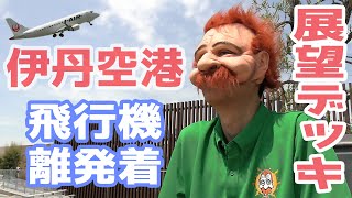 伊丹空港（大阪国際空港）展望デッキから飛行機の離発着を楽しんだ