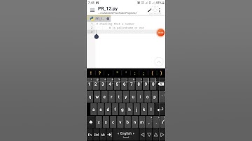 Python code in mobile #SimplePythonProjectCode #short