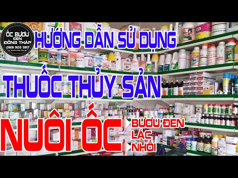 Hướng dẫn cách sử dụng các loại thuốc thủy sản trong mô hình nuôi ốc bươu đen trong bể lót bạt