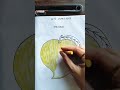 Subject -Drawing... Mango🥭... play group.... Day 315.....