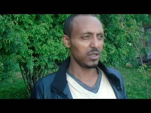 ቪዲዮ: የሳን ሆሴ ሁለተኛ ደረጃ ትምህርት ቤት ዕድሜው ስንት ነው?