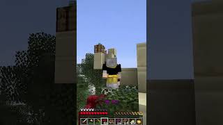 So funktioniert Endergames😅