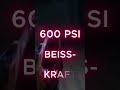 Dobermann: Mit welchem gefährlichen Raubtier kann er sich messen??
