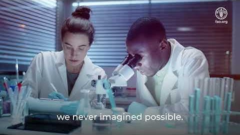 International Day of Forests 2024: Forests and innovation – new solutions for a better world