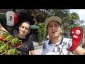 El Vlog | Probando comida MEXICANA | Ft. Luis Villao