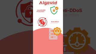 Experience Unlimited Web Hosting Algowid Hosting Plan