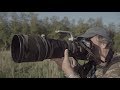 Steven's Achtertuin, de Oostvaardersplassen