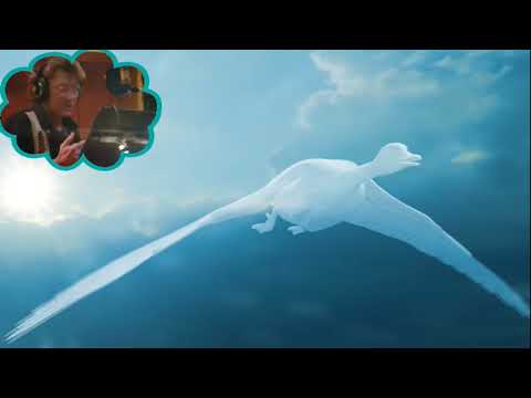 Otaiti Johnny Hallyday 1997 Chanson Demilie Jolie Et Du Grand Oiseau