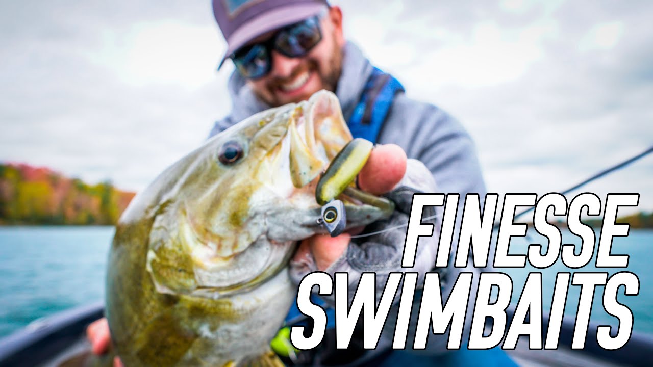 Finesse Swimbaits for BIG Smallmouth (Northern Michigan)