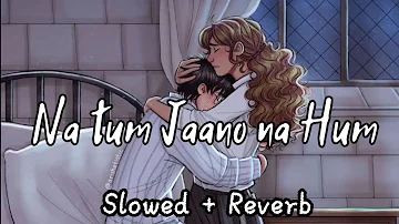 Na tum Jano na Hum | Slowed + Reverb | Revibe | Ashwin Adwani | Eight d Studio