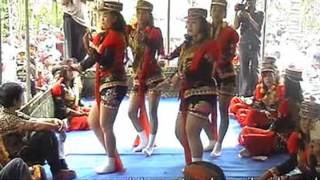 Ndolalak Putri Dadi Harum Jambu Air