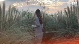 紅顏 舊 Hong Yan Jiu ... 紅顏 舊 Hong Yan Jiu ...
