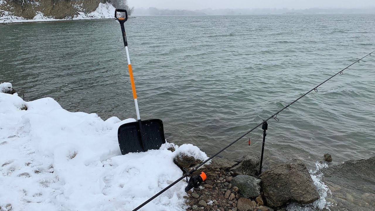 Kapři na sněhu! Jak na zimní rybaření s úspěšným koncem?