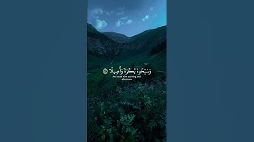 اكتب شيء تؤجر عليه ❤️ #قران #ياسر_الدوسري #سورة_الزمر #راحة_نفسية #اجر_لي_ولك #ذكر_الله