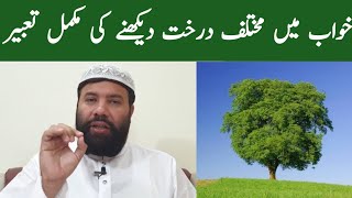 Khwab mein darakht dekhna | interpretation of the tree in dream |khwab mein darakht dekhne ki tabeer