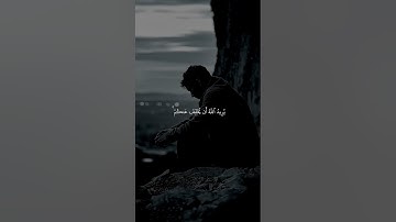 راحة نفسية ♥️🌨️#قران كريم بصوت القارئ ياسر الدوسري#حالات واتس اب#تلاوة هادئة ومريحة جدا