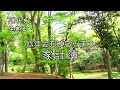 【70代を生きるNo.31】低年金おばちゃまの家計簿／ベランダ菜園／スムージーとランチ