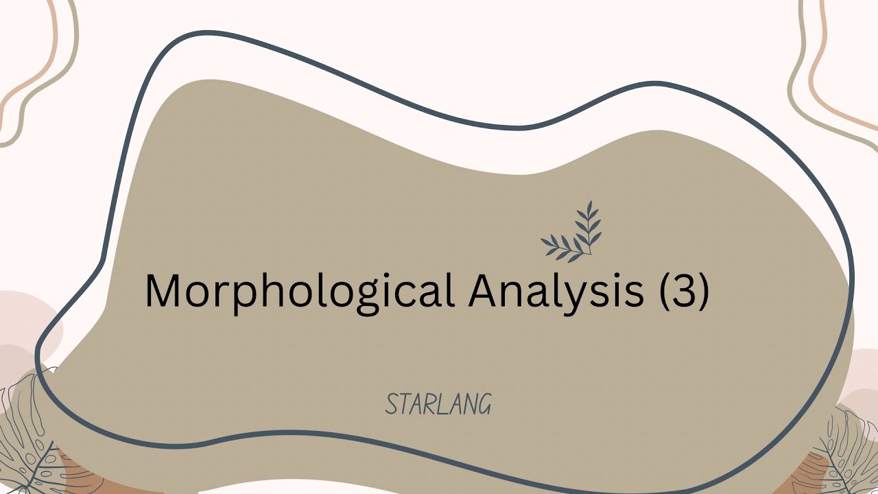 Morphological Analysis Package (III)