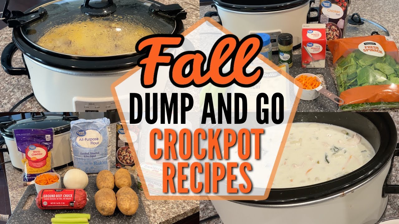 4 BEST Dump and Go Crockpot Recipes  CHEAP Quick & Easy Slow Cooker Meals  Your Family Will Love 