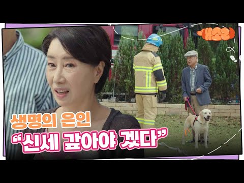 “ 생명의 은인.. ” 이순재에게 고마워하는 김용건과 <strong>예수정</strong>, 임채무, 송옥숙 [개소리/Dog Knows Everything] | KBS 240925 방송
