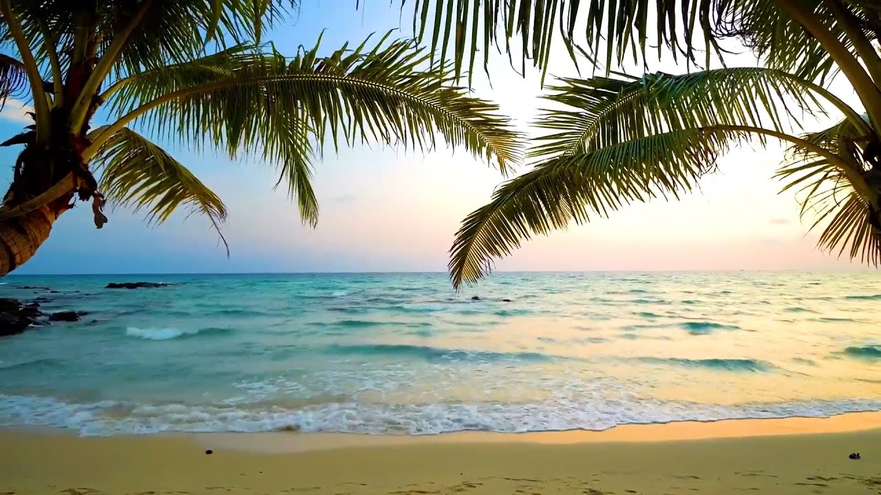 Gentle Ocean Waves on a Tropical Beach | Natural Sea Sounds for Relaxation & Sleep